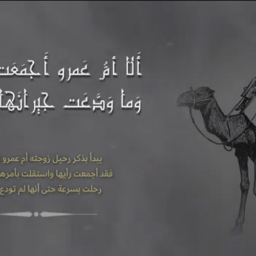 ‎⁨ألا أم عمرو أجمعت فاستقلت_ للشنفرى أسامة النهاري  #ملحنة⁩.m4a