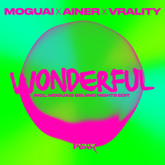 Wonderful (VRALITY Drum and Bass Edit)
