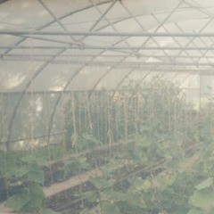 FERMATI AL LIMITE  short version (dance piece)