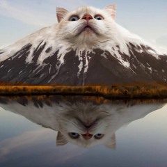 Night Time (Blackout) Looking for vocals