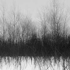 ogpra - tree [velveteen+patrick]