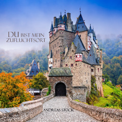 13. Du bist mein Zufluchtsort
