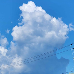 Even If Tomorrow Never Comes...