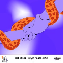 PremEar; Jack Junior - Never Wanna Let Go  [STC026]