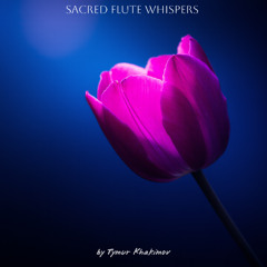 708 Healing Wind Chants Meditation  \ Price 9$