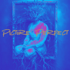 Picture Perfect