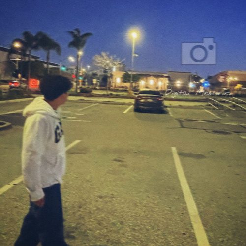 DIGITAL MEMORIES