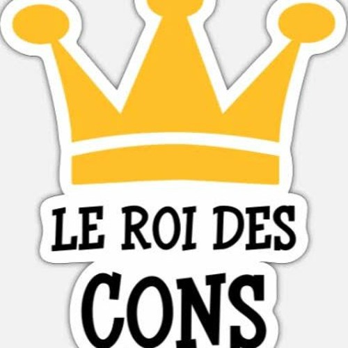 Le Roi Des Cons / G. Brassens ( Reggae diversion / Kwes Lk )