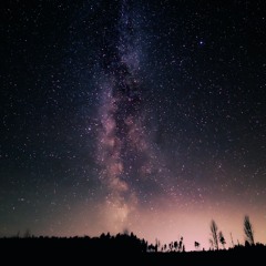 Beneath The Starlit Pines
