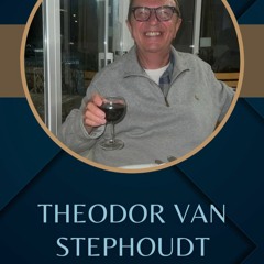 How to Deal with Tax Problems and Protect Your Money?| Theodor Van Stephoudt!