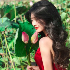 Hello Viet Nam - Pham Quynh Anh (BlackSilver Remix) Demo