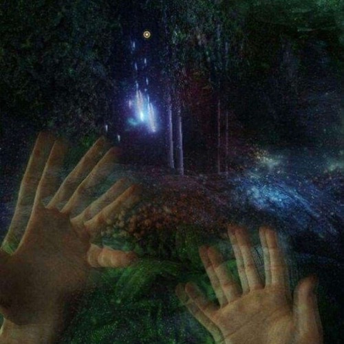 VC SHYT (highsoulja)