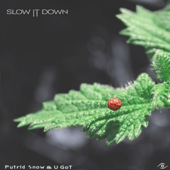 Putrid Snow ▶Slow iT Down