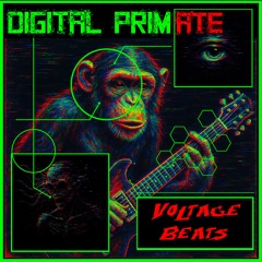 Digital Primate