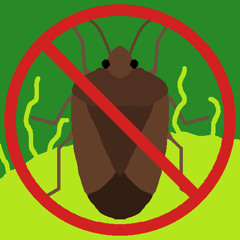 Stinkbug Invasion OST - Billion Bugs