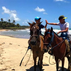 Review Special Price Beach Horseback Riding In Punta Cana Free Photos Package