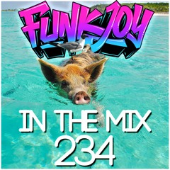 funkjoy - In The Mix 234