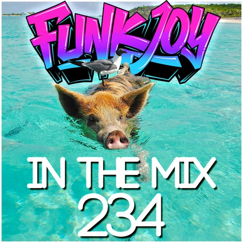 funkjoy - In The Mix 234