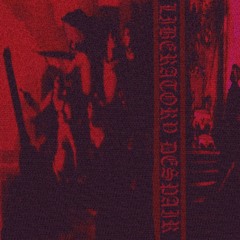 LIBERATORY DESPAIR