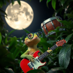 Honeymoon With The Geckos