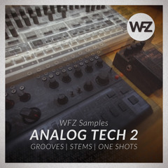 WFZ Samples - ANALOG TECH 2