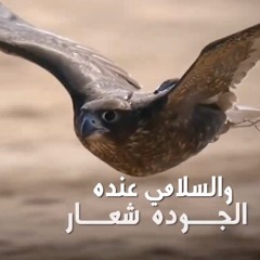 الوثبة - اسعد البطحري - كلمات أحمد السلامي النيادي