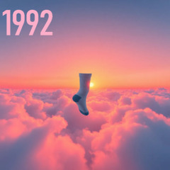 1992  right  sock