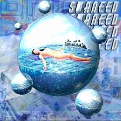 experimental windows (feat. echo)