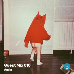 Guest Mix 010 - Amiin