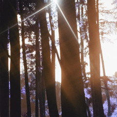 Life According to Raechel