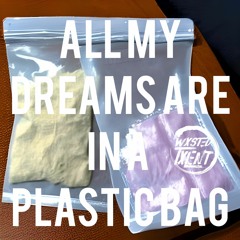 All My Dreams Are In A Plastic Bag HOOK ONLY $125