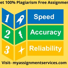 Finance Asignment Help Expert