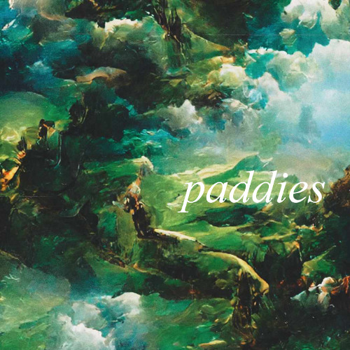 paddies (naviarhaiku572)