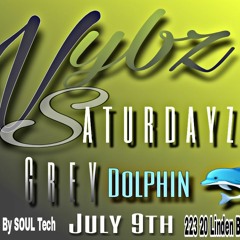 JULY 9TH GREY DOLPHIN