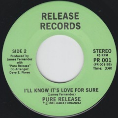 Pure Release - I'll Know It's Love For Sure - Miss Disco Edit