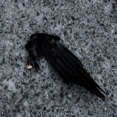 Leave The M.Tricks - Original Mix