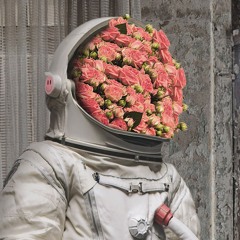 Kraftvoll - Juli Set