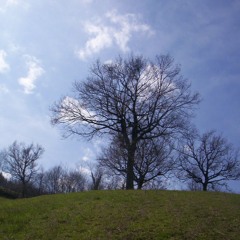 Elisabetta Sensi 378KM - Capisci Amore MIo