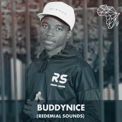 DHSA Podcast 052 - BuddyniceRsa [Redemial Sounds]
