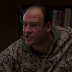 do you wanna know what I'm thinking (Not that I'm anywhere × tony soprano)