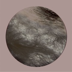 DS Premiere: Ness - Like A Plucked Flower (Mikkel Rev Remix) [NAVIGARE005]