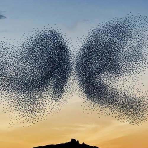 Flight Patterns (with Debbie Buesking, my favorite pianist and co-pilot:)