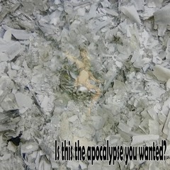 Is this the apocalypse you wanted?