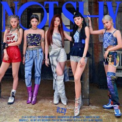 STRAY KIDS x ITZY - CASE 143 x NOT SHY INSTRUMENTAL MASHUP