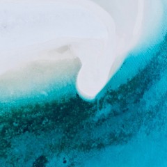 One Painting