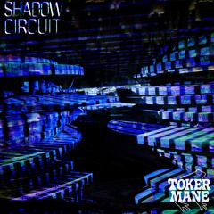 Shadow Circuit