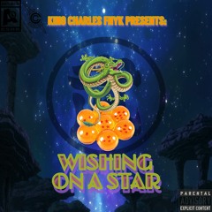 Wishing On A Star