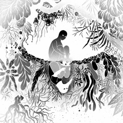 PREMIERE: Baume - Save The Jungle Burning (RONR002)