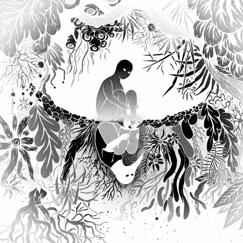 PREMIERE: Baume - Save The Jungle Burning (RONR002)