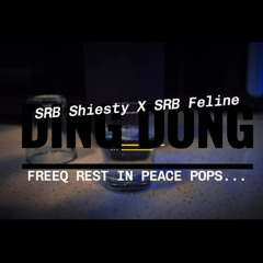 Ding Dong - S.R.B SHIESTY X S.R.B FELINE